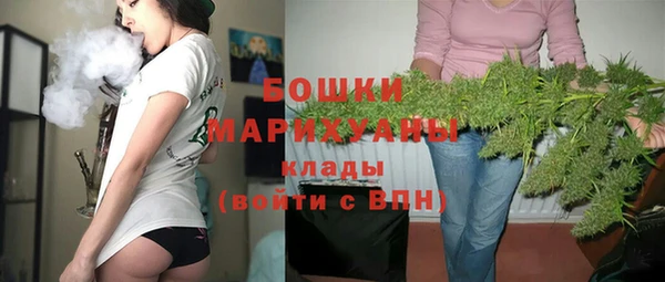 apvp Гусь-Хрустальный