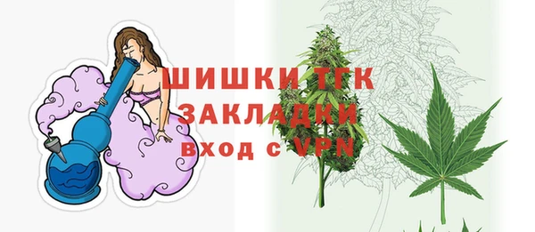 соль ск Гусев