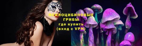 соль ск Гусев