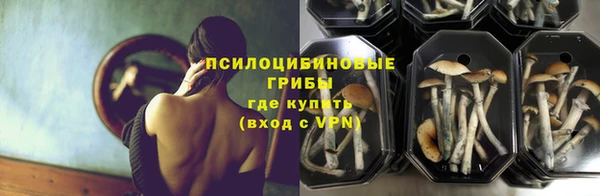 apvp Гусь-Хрустальный