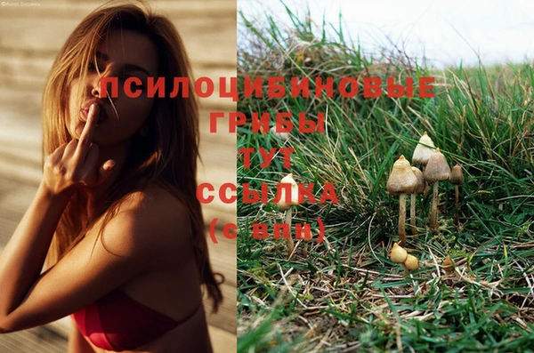 соль ск Гусев