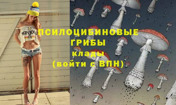 экстази Гусиноозёрск