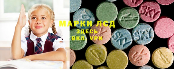 соль ск Гусев