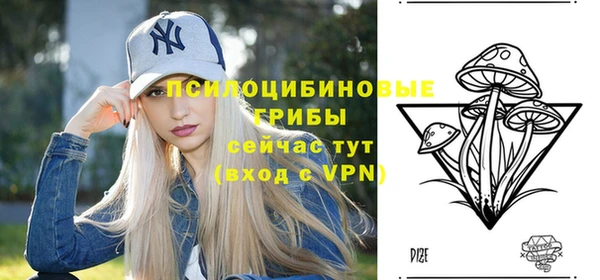 экстази Гусиноозёрск