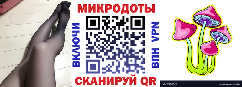 Купить  Красавино  Псилоцибиновые грибы MAGIC MUSHROOMS 